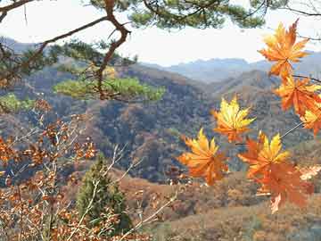 關(guān)于澳門彩票與正面釋義的探討——落實法治精神的重要性