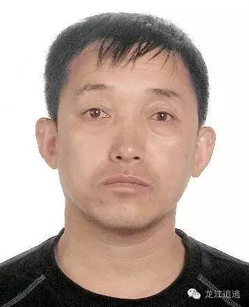 佳木斯市警方發(fā)布最新通緝令，追捕涉案人員，維護社會安定（2016年通緝令詳解）