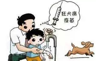 最新狂犬病發(fā)作視頻，理解與應(yīng)對的挑戰(zhàn)