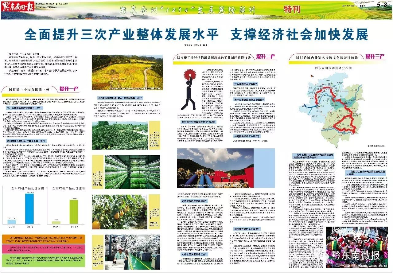 今期香港最新跑狗圖，探索與解讀