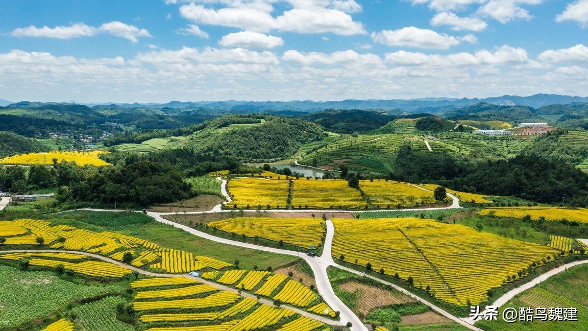 甕安建中鎮(zhèn)最新建設(shè)，邁向現(xiàn)代化步伐的見(jiàn)證