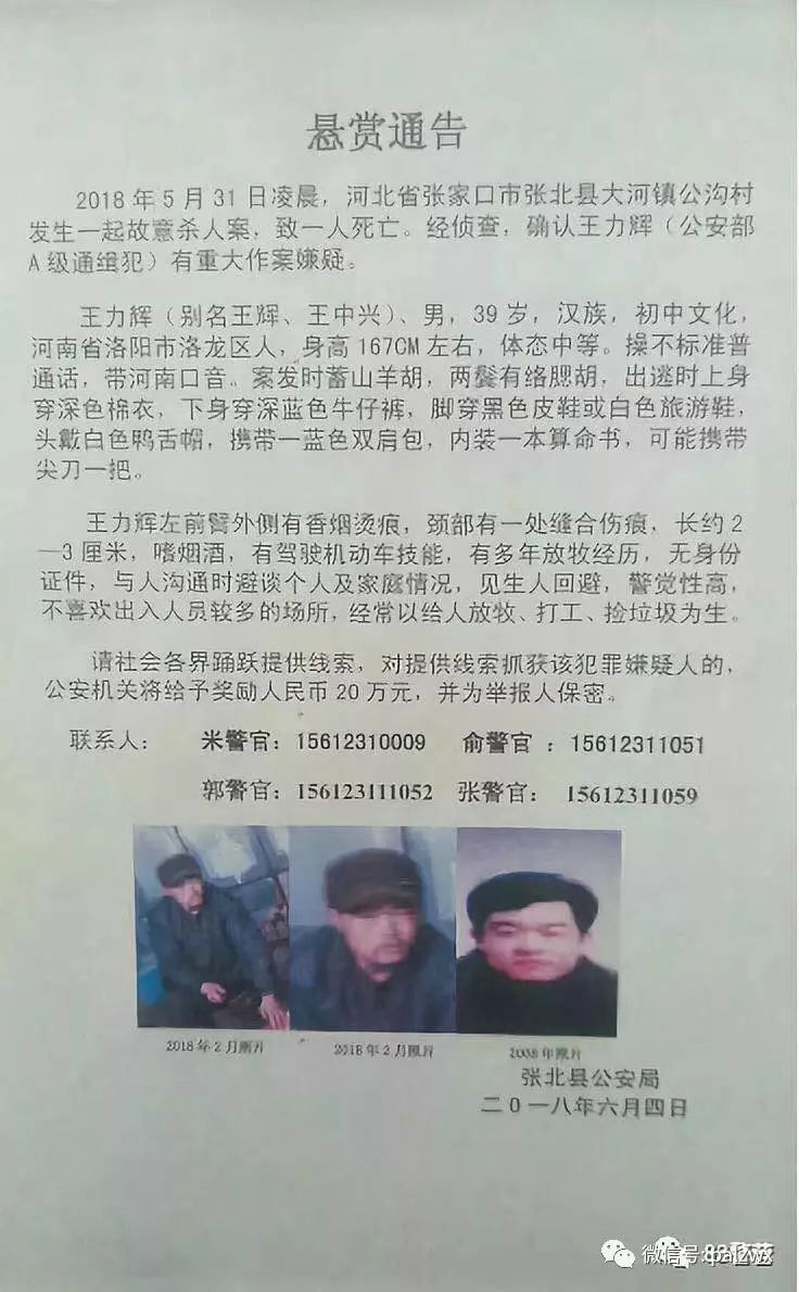 網(wǎng)上最新通緝犯名單，社會(huì)安全的警鐘長鳴