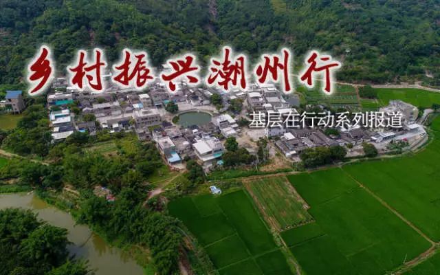 牧馬鎮(zhèn)蓮花村最新規(guī)劃，鄉(xiāng)村振興的藍(lán)圖展望