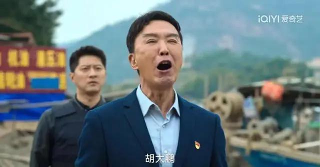 毛寧2017最新消息，展現(xiàn)多元才華與領導風范的一年