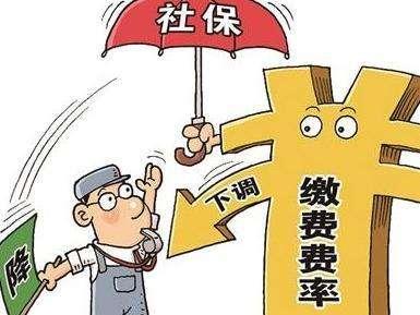 上海最新社?；鶖?shù)