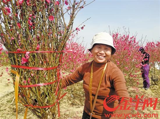 桃花族最新潮流，探索時代前沿的浪漫風情