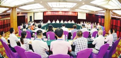 澳門王中王100的資料論壇，深入解析與落實的探討
