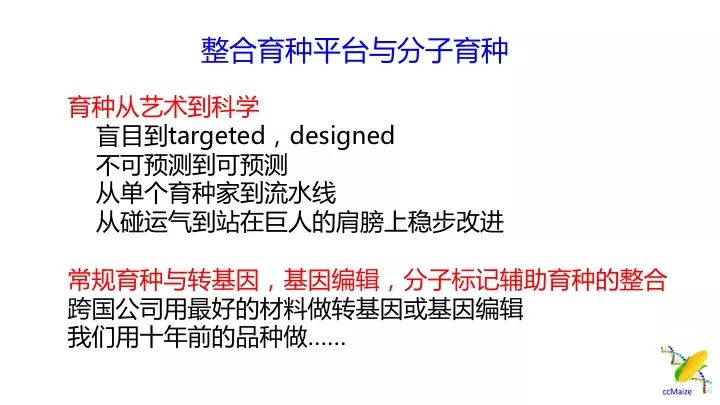 澳門正版免費服務(wù)與顧問釋義解釋落實，未來的趨勢與挑戰(zhàn)