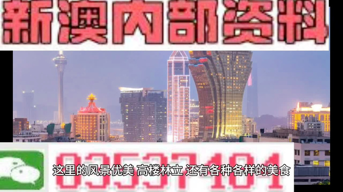 新澳門精準(zhǔn)資料大全，龍門資料最新解讀與實(shí)際應(yīng)用