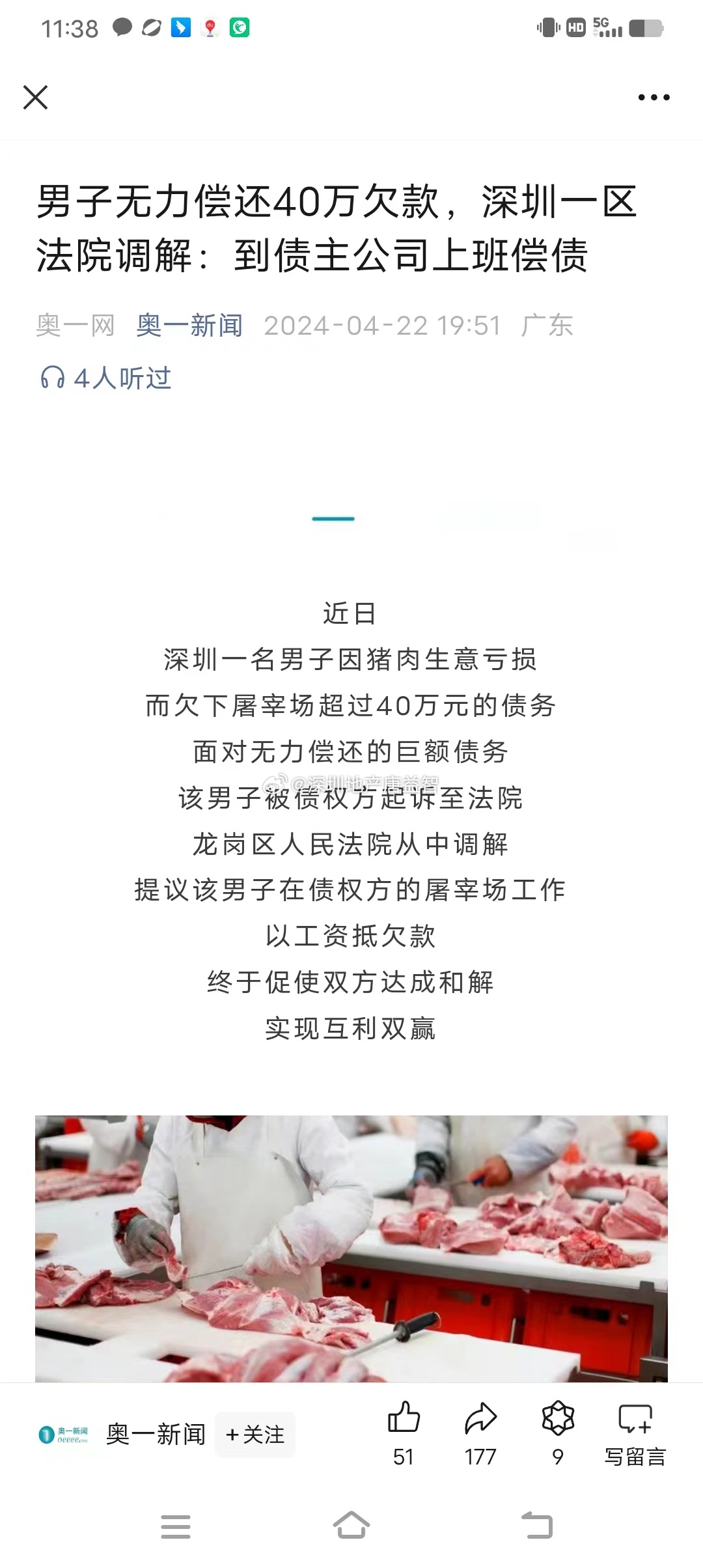 一肖一碼一一肖一子在深圳，瞬時釋義、解釋與落實